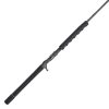 Carnage III Conventional Jigging Rod